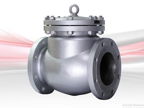 Check Valve
