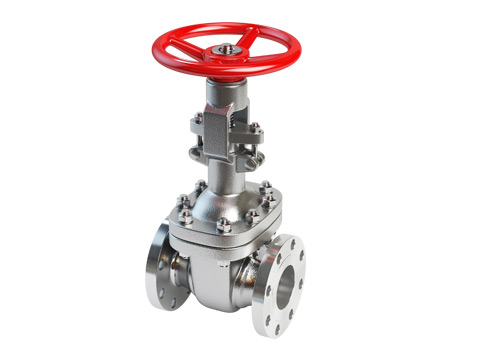Wedge Gate Valve